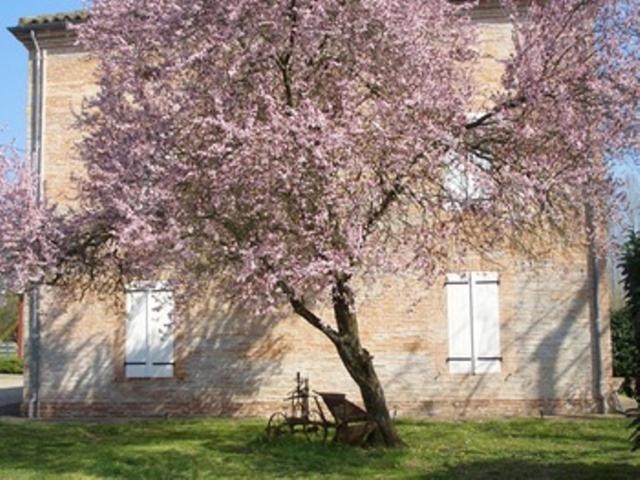 Bed and Breakfast Le Platane Lafrancaise Екстер'єр фото