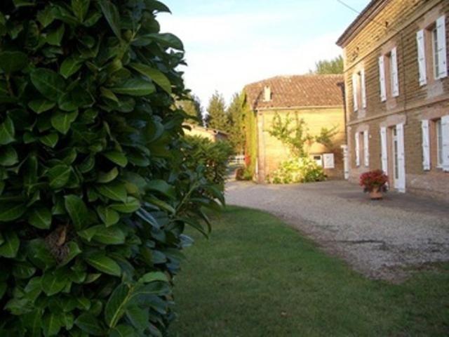 Bed and Breakfast Le Platane Lafrancaise Екстер'єр фото