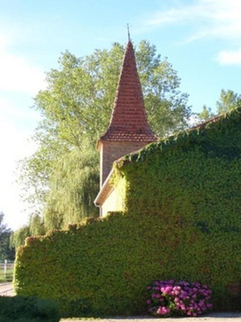 Bed and Breakfast Le Platane Lafrancaise Екстер'єр фото